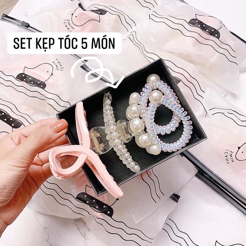 Set 5 Kẹp Tóc Ngọc Trai Siêu Sang Chảnh - Ngọc Trai Nhân Tạo