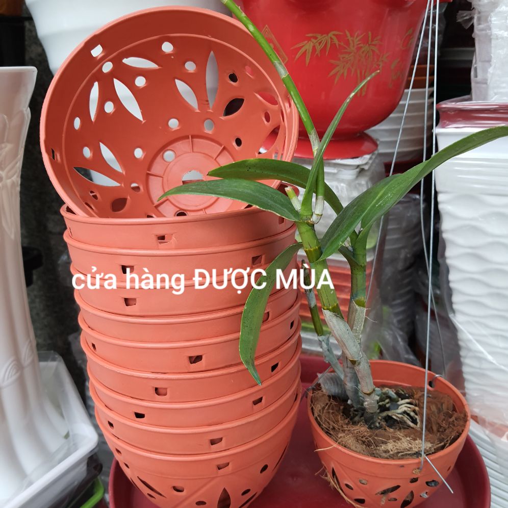 Combo 10 chậu nhựa trồng lan kiểu giả đất đk18cm.