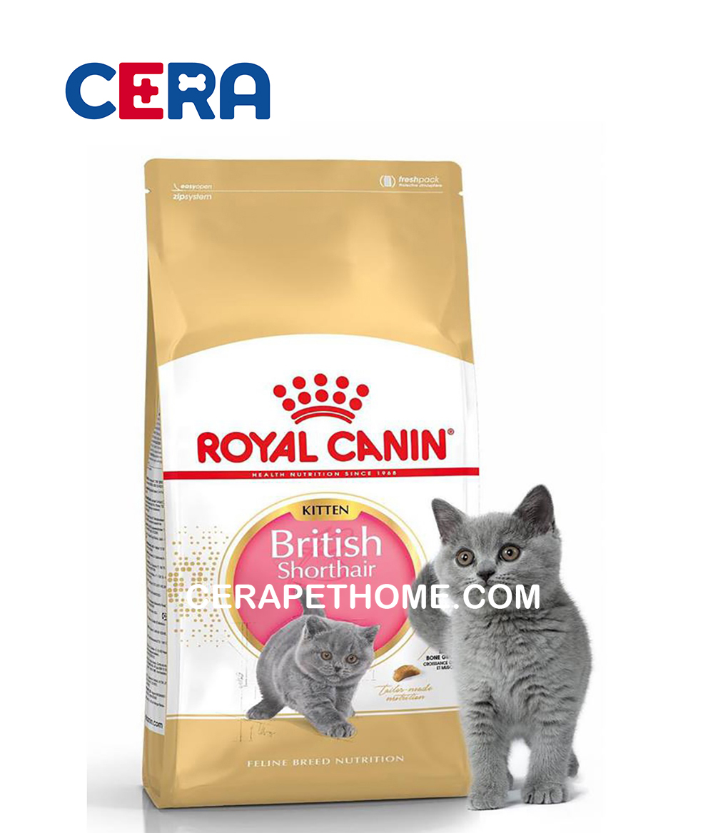 Thức Ăn Mèo Royal Canin Mèo Anh Lông Ngắn Dưới 1 Tuổi - British Kitten - 400g