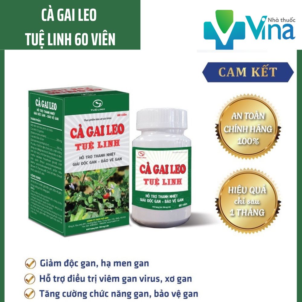 [HCM]Cà gai leo Tuệ Linh hộp 60v- giải độc rượuhỗ trợ viêm gan Bxơ gan hiểu quả an toàn