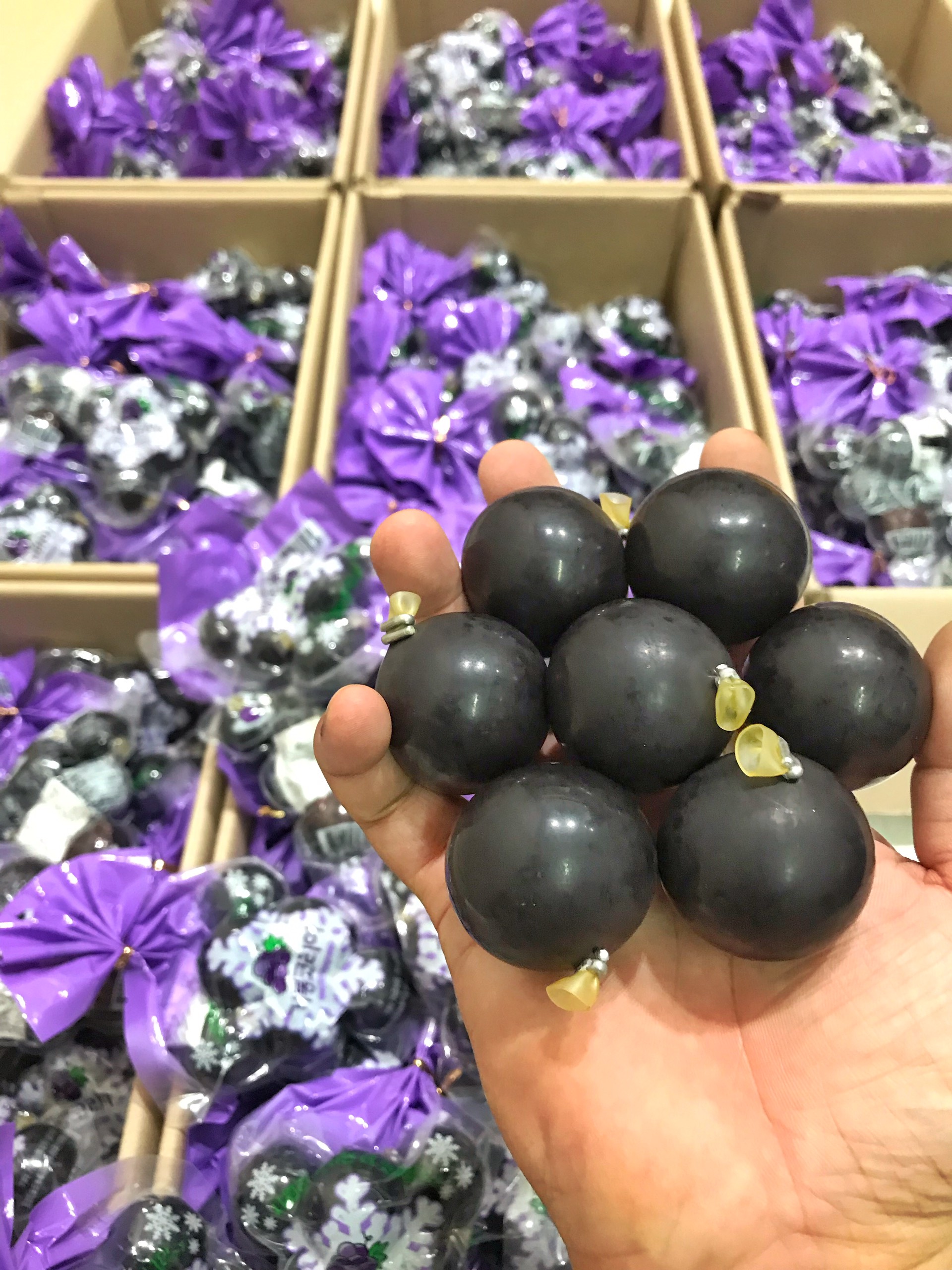 [HCM]Thạch Nho Kyoho - Thạch Nổ