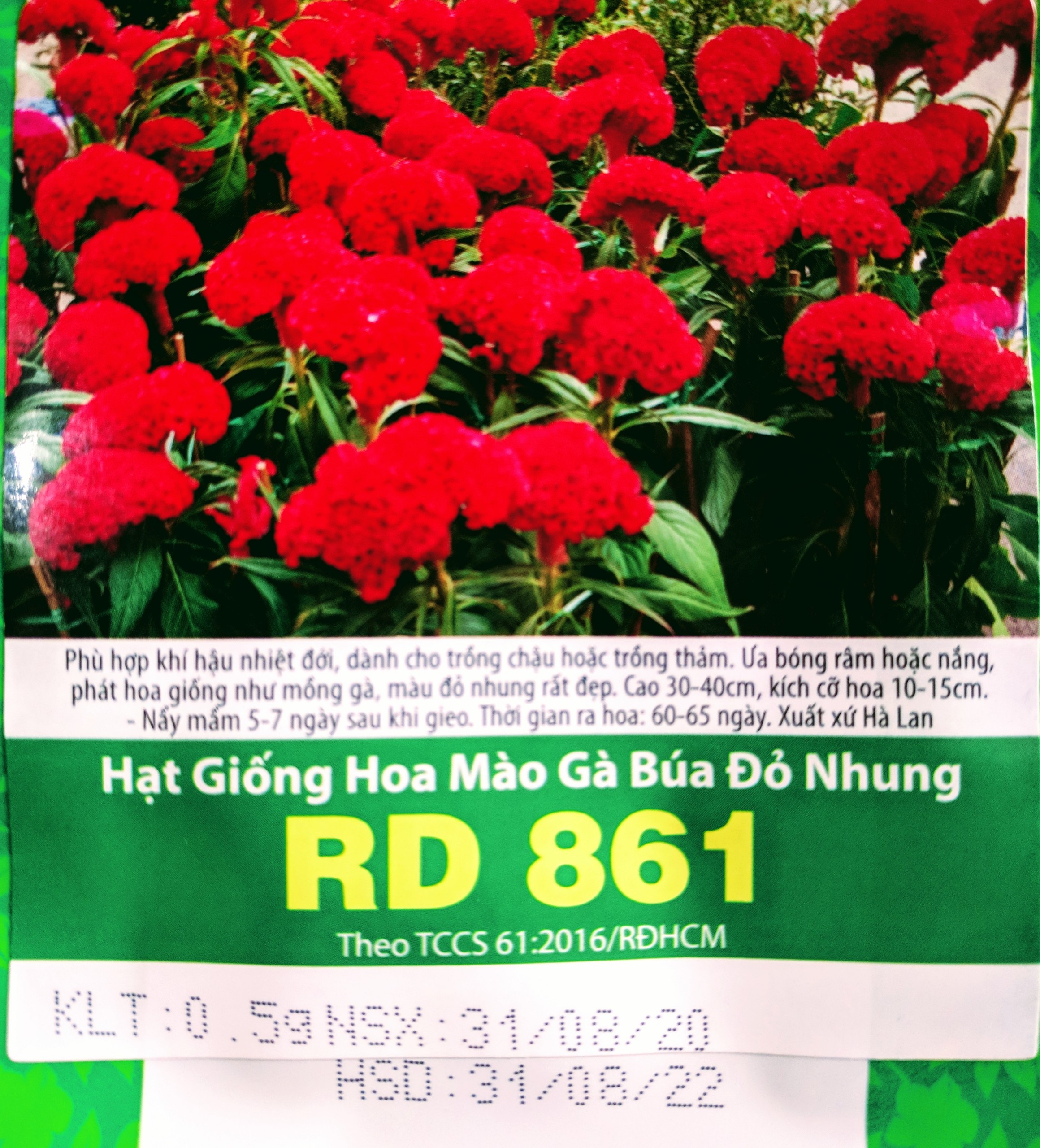 [HCM]Hoa Mào Gà Búa Đỏ Nhung  gói 0.5gram - hàng công ty tỉ lệ nẩy mầm 85%