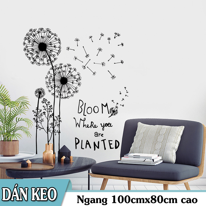 Decal dán tường trang trí - hoa bồ công anh trắng đen blom