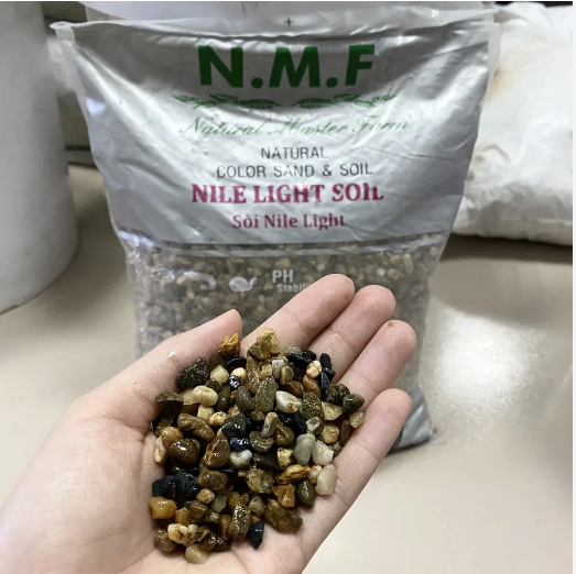 Sỏi nile light - trải nền trang trí bể cá, bể thủy sinh
