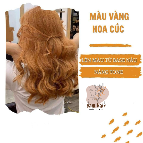Thuốc nhuộm tóc vàng hoa cúc nhuộm tại nhà