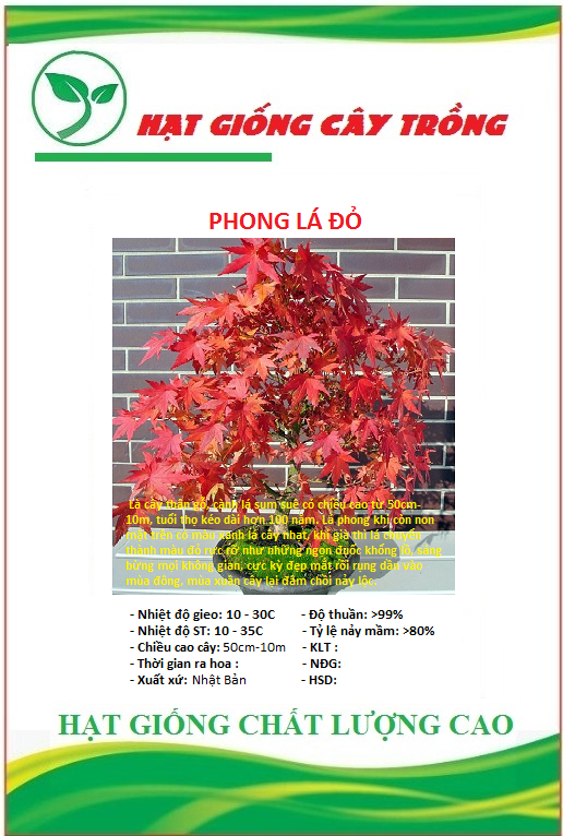 Hạt giống cây phong lá đỏ - gói 10 hạt