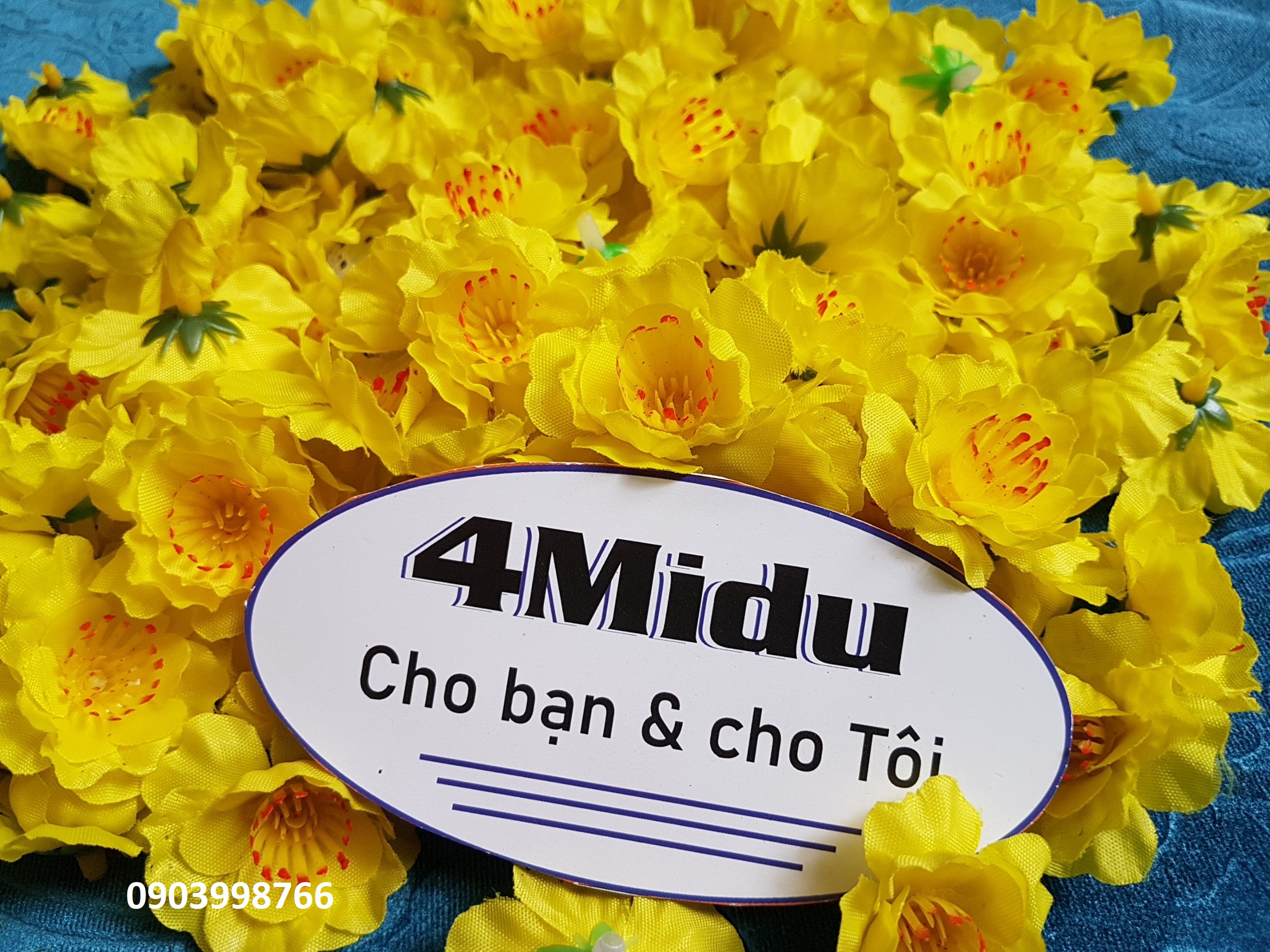 Tết 2025 - Hoa mai, hoa đào rời cánh nhẹ kg hàng cao cấp