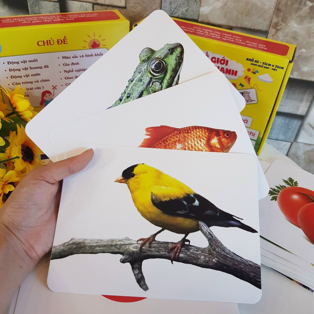 Bộ thẻ học Thông minh loại to dành tặng cho bé giup bé phát Triển Tư duy não bộ.