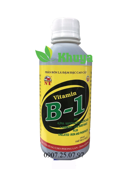 Phân bón lá đậm đặc cao cấp NT Vitamin B1 chai 250ml