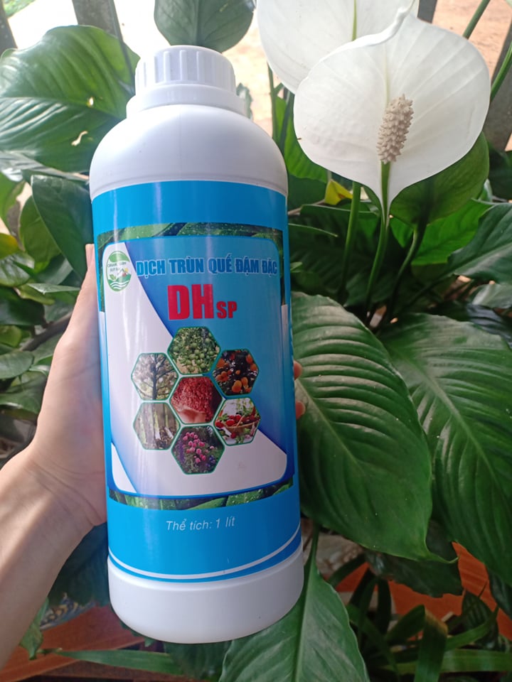 Phân bón hữu cơ sinh học dịch trùn quế cô đặc lên men 100% trùn quế tươi HDSP - chai 1lit