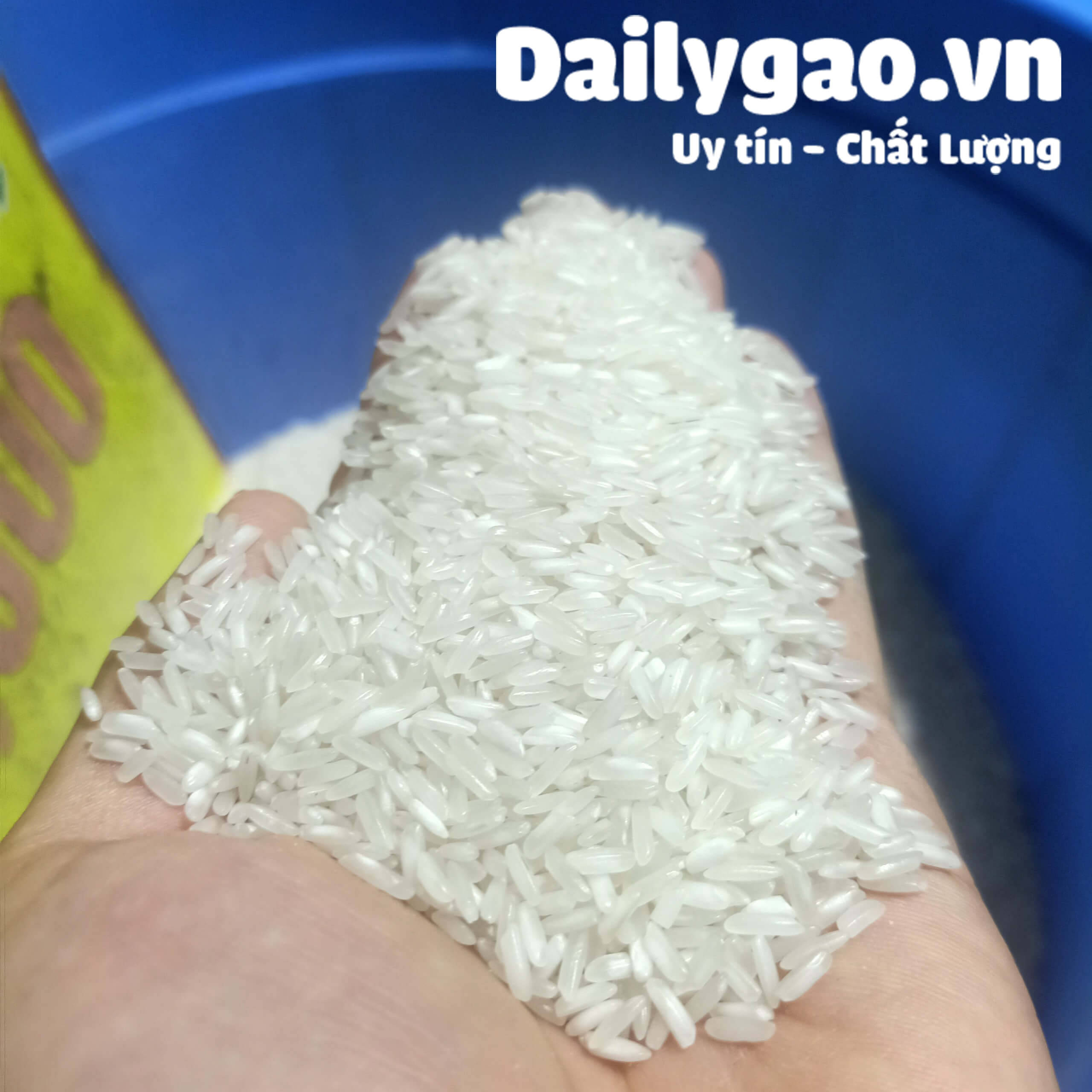 Gạo thơm lài - dẻo vừa