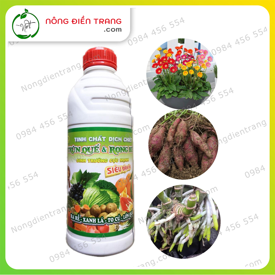 Tinh chất dịch chiết trùn quế & rong biển siêu đậm đặc 1 lít - dịch trùn quế & rong biển hoàng nga 1 lít
