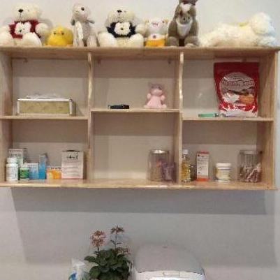 [HCM]Kệ sách treo tường cao 63cm rộng 100cm
