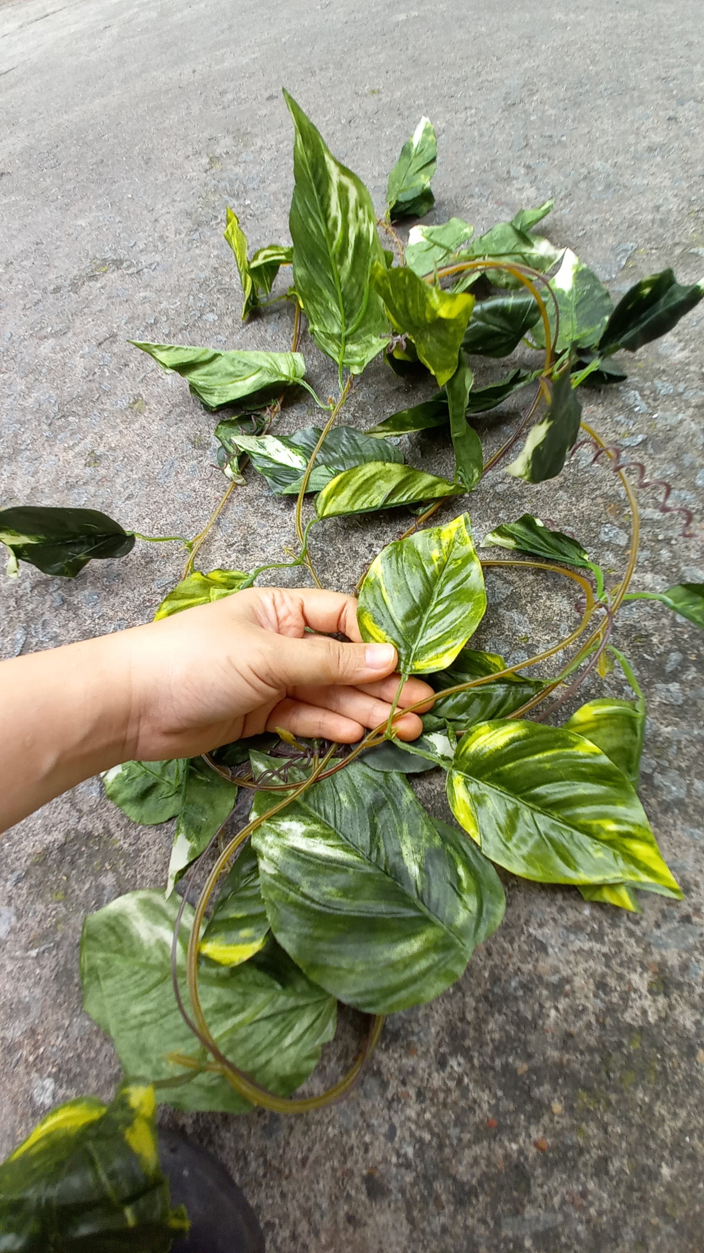 [HCM]1 Dây lá giả bằng nhựa dài 250cm trang trí decor - Hoa giả - Hương Flower