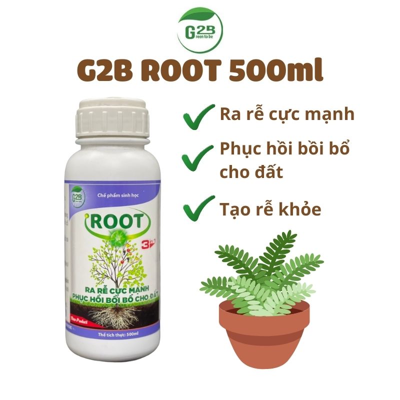 Phân bón vi sinh g2b kích rễ bảo vệ và ra rễ, bật chồi, cải tạo đất – phân bón vi sinh g2b root 3.1 500ml