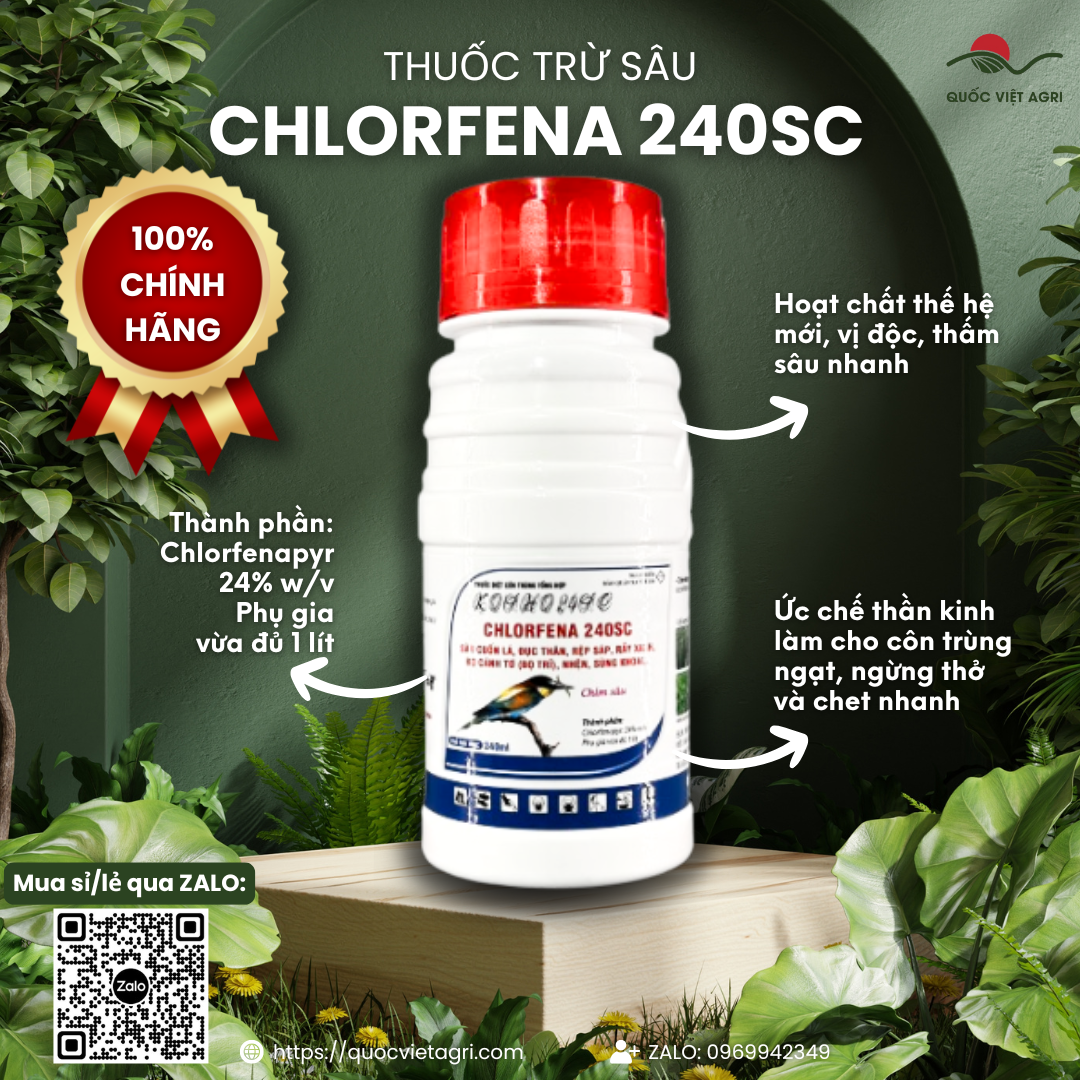 Thuốc trừ sâu CHLORFENA 240SC (chai 240ml) - Chlorfenapyr 24%w/v Trị sâu cuốn lá, đục thân, rệp sáp, rầy xanh, bọ bọ trĩ, nhện, sùng khoai