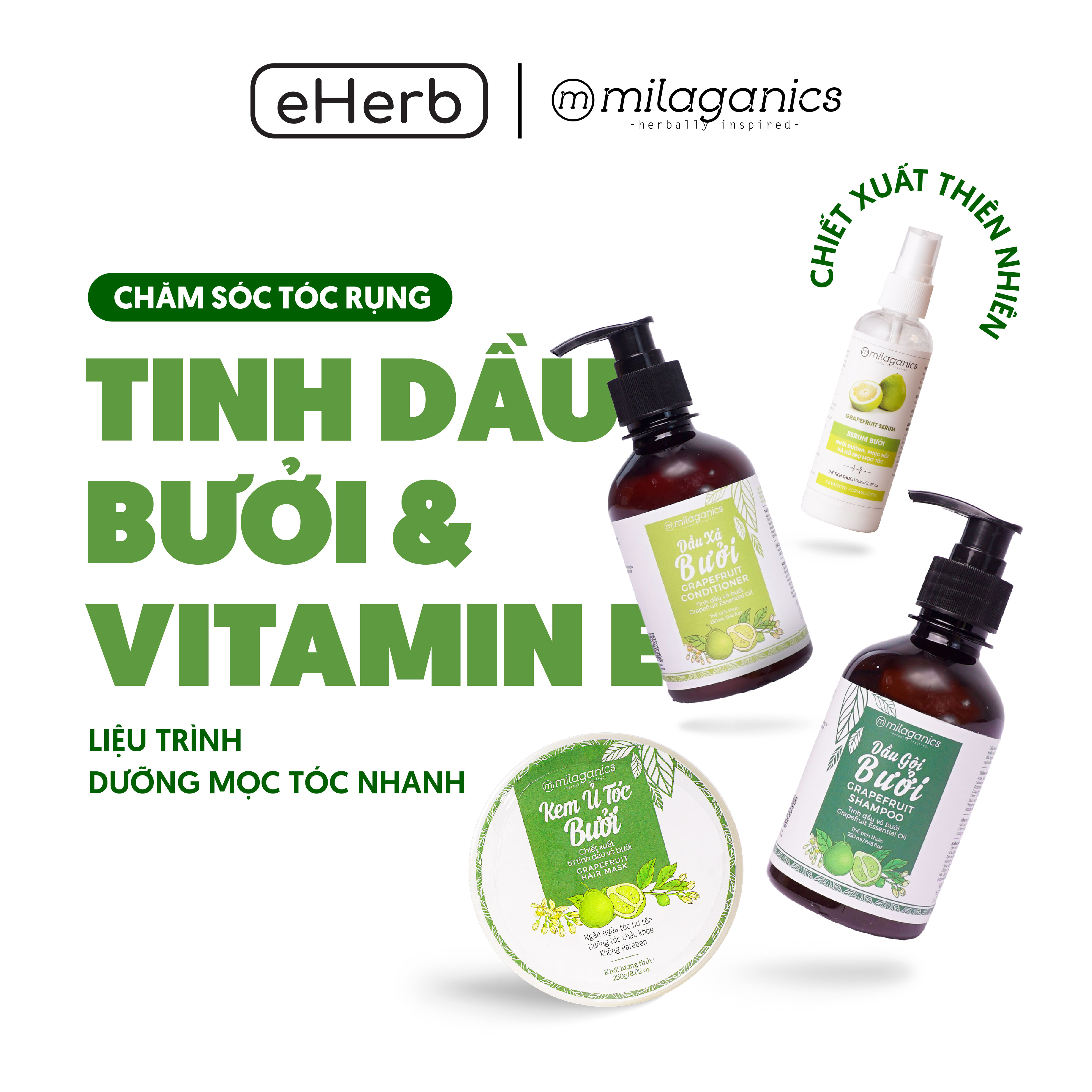 Bộ 4 sản phẩm từ tinh dầu bưởi: dầu gội, dầu xả, kem ủ và xịt tóc milaganics, kích mọc tóc & ngừa rụng 850ml - eherb