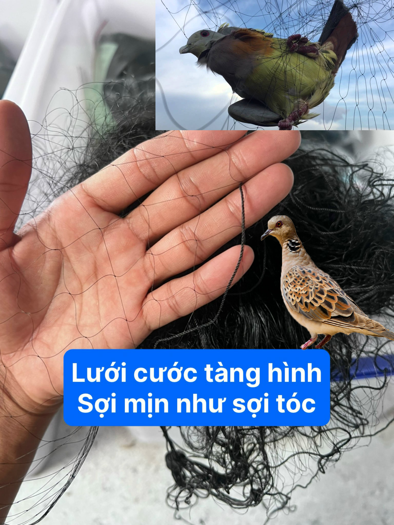 30m lưới 6 phân cao 9 mét - 7 dây 6 túi ( sợi 14 )  bẫy chào mào , cu tiểu , rẽ giun lưới cước thái tàng hình màu đen thái lan