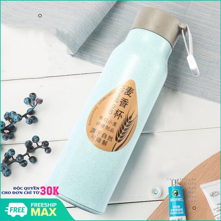 Bình đựng nước lõi thủy tinh lúa mạch 350ml, bình nước, bình đựng nước hình lúa mạch cao cấp, kiểu dáng sang trọng