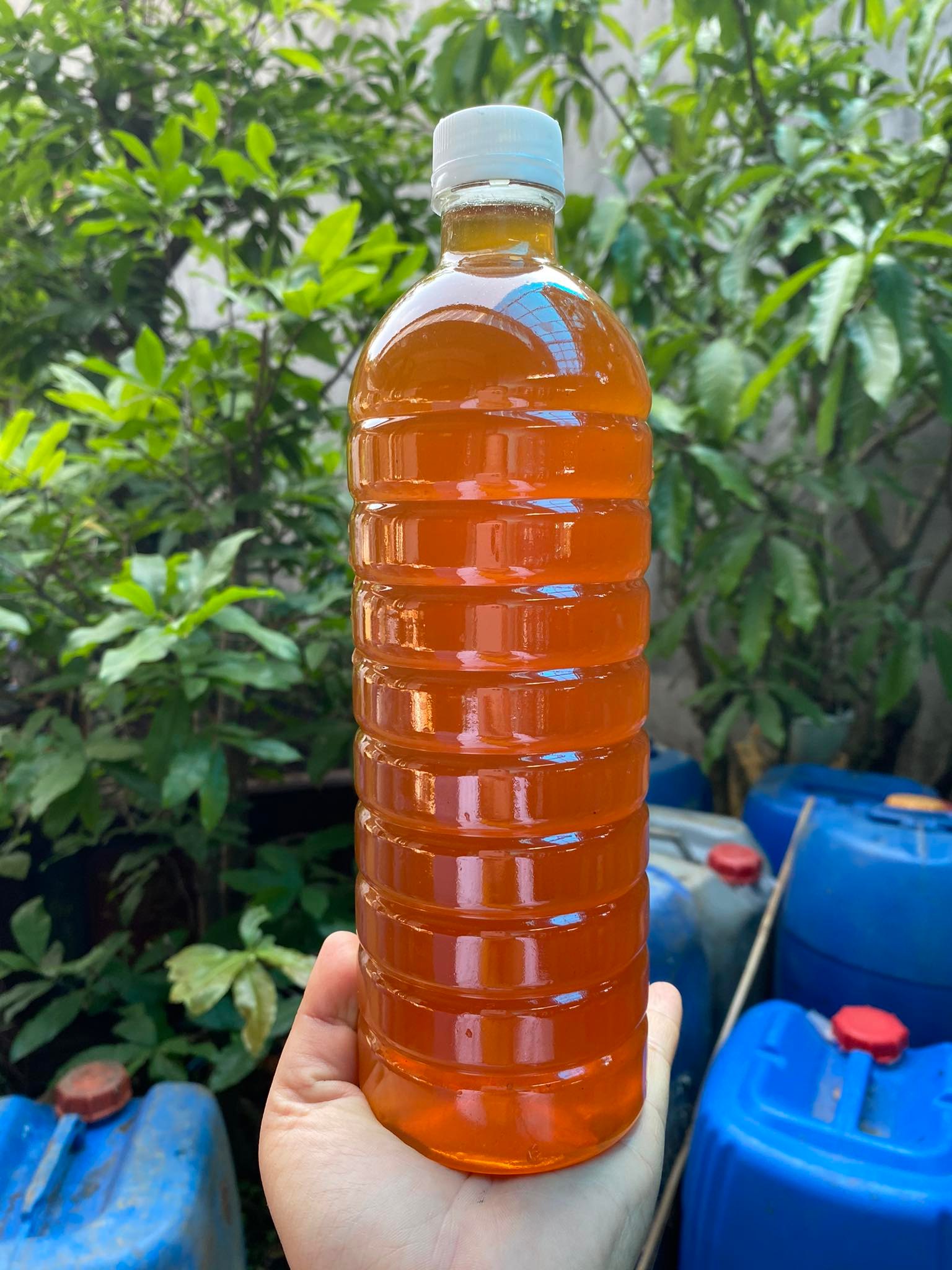 1 Lít Mật Ong Hoa Cà Phê Nguyên Chất - Giá Gốc Từ Nông Trại - Bán Lẻ Rẻ Như Bán Sỉ.