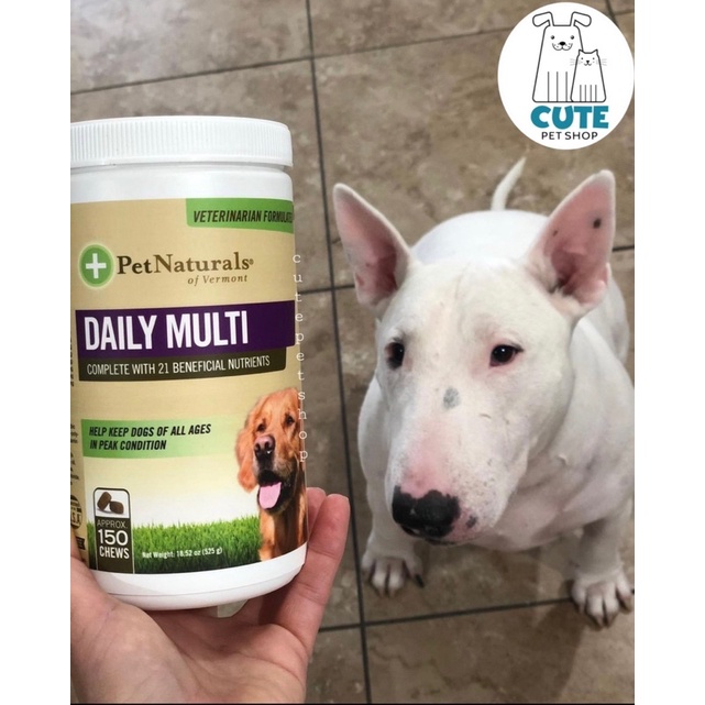 Daily multi-vitamin 150 viên cho chó