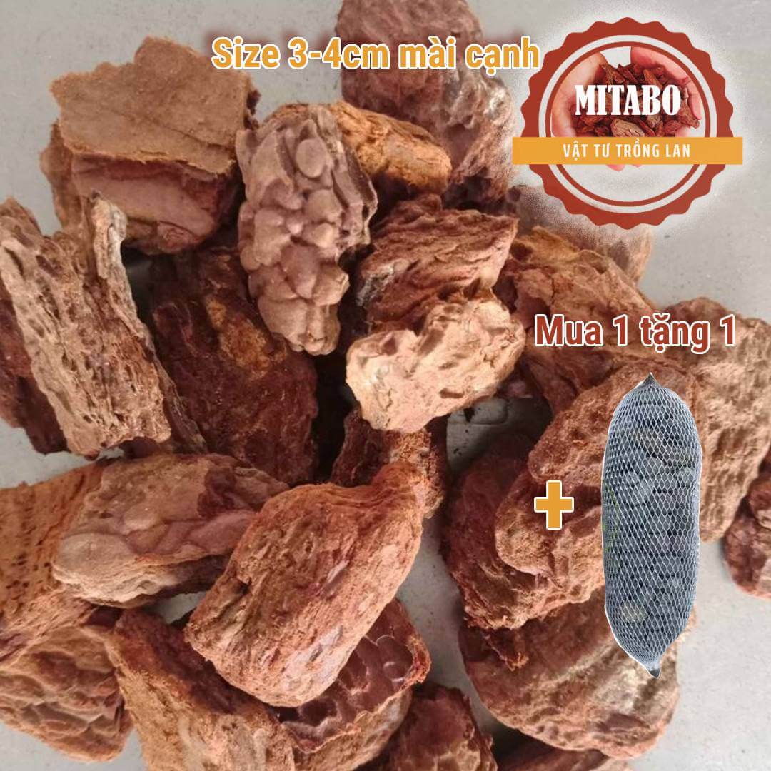 [Giảm 50% + quà tặng] Combox 10kg vỏ thông trồng lan loại xay mài cạnh đẹp vỏ thông Mitabo 3-4cm - Giá thể trồng lan đã qua xử lí tặng kèm túi phân dê