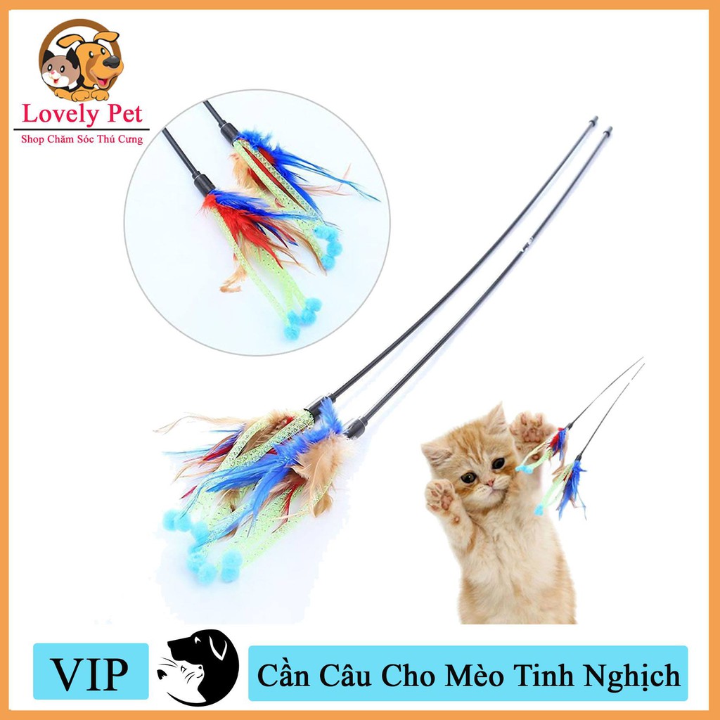 [HCM]Cần câu cho mèo vui chơi.