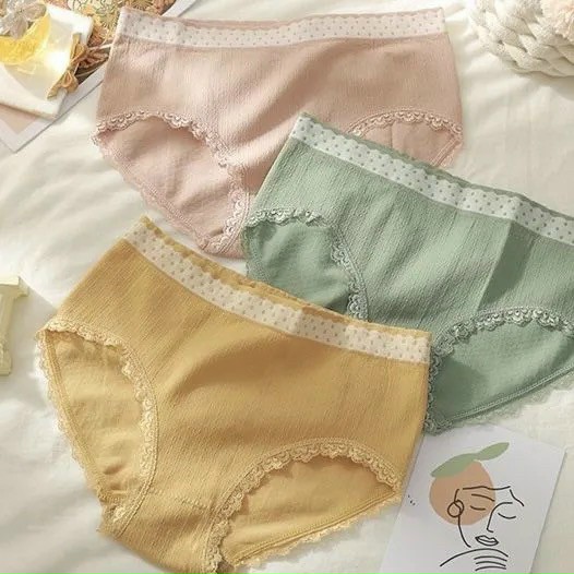 Combo 5 quần lót thun cottong hàng mới vải mềm mịn thấm hút hồ hôi co giãn 4 chiều