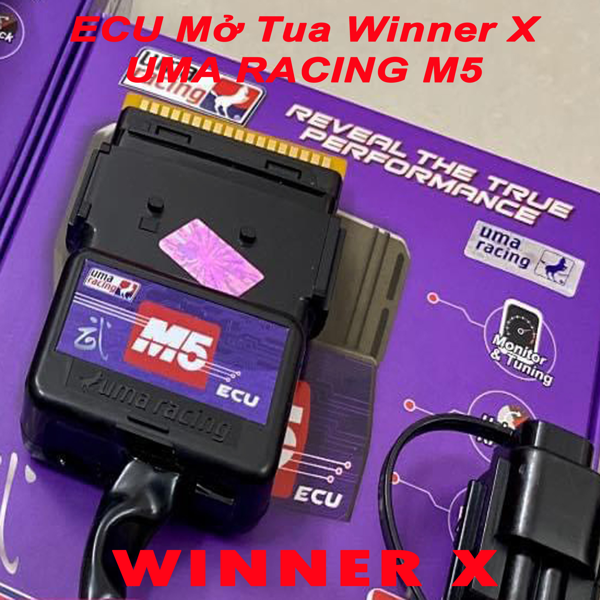 ECU UMA M5 cho Winner X - ECU UMA RACING M5 BLUTOOTH CONNECTION
