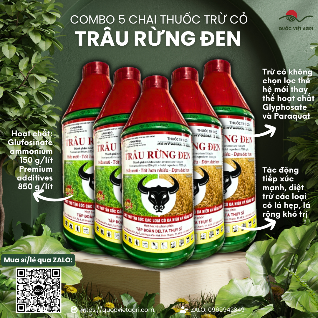 (Combo 5 chai) Thuốc trừ cỏ TRÂU RỪNG ĐEN (chai 900ml) - Newfosinate 150SL Diệt trừ tận gốc các loại cỏ đa niên và hằng niên
