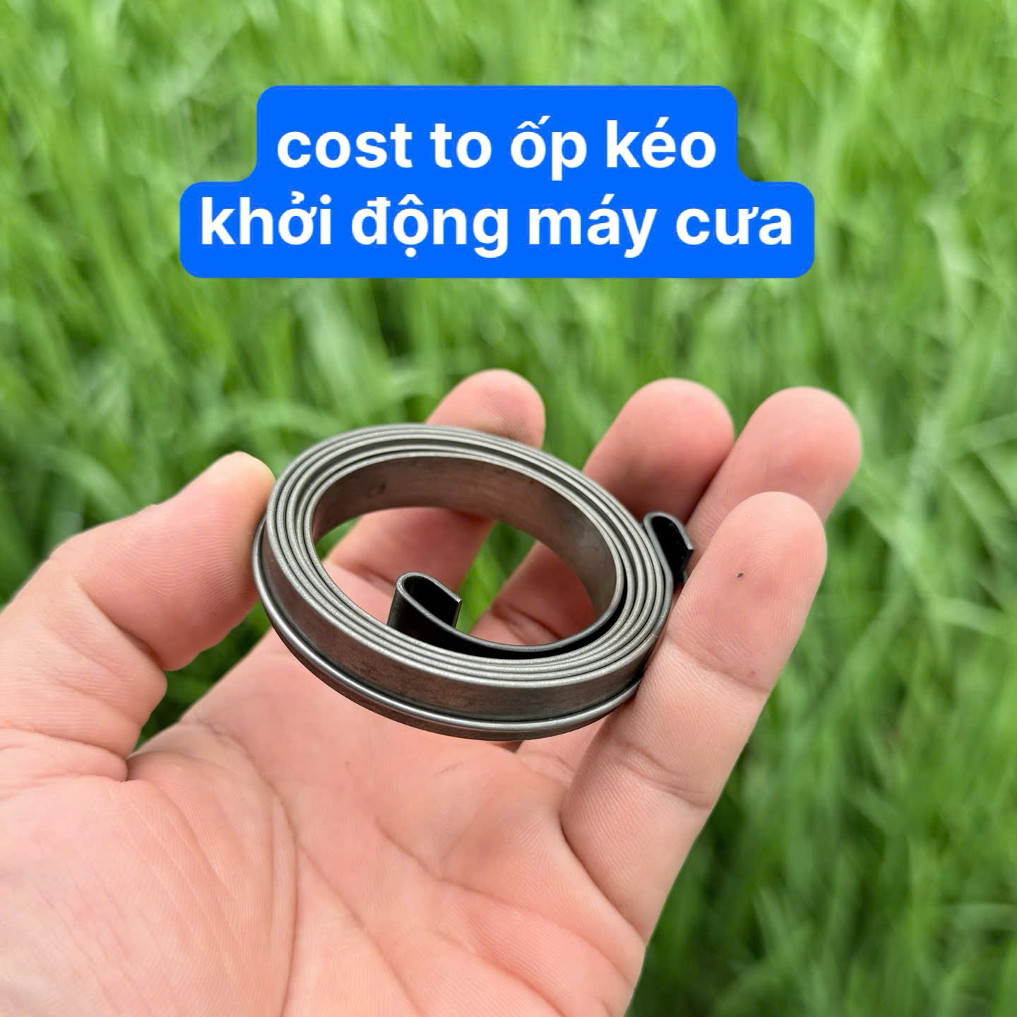Dây Cót To Máy Cưa Cốt Lò So Máy Cưa Cót To Cost Lò So Ốp Khởi Động Máy Cưa ( kho 8201)