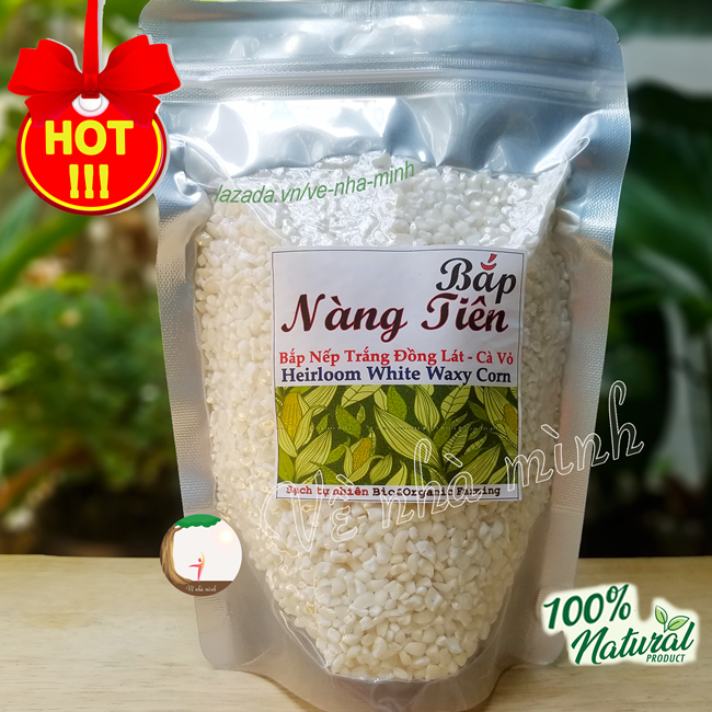 BẮP NẾP TRẮNG THUẦN CHỦNG HỮU CƠ TỰ NHIÊN 100% 300G-500G ( ngô nếp trắng ) dùng nấu chè, làm bánh & sữa, nấu soup...