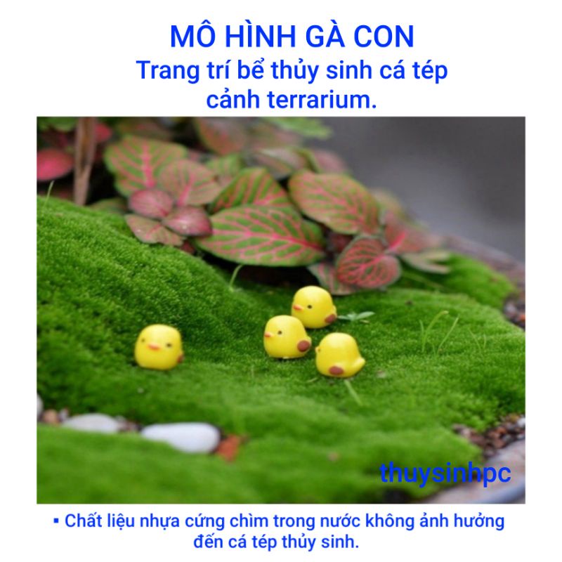 Mô hình gà con xinh xắn trang trí bể thủy sinh terrarium