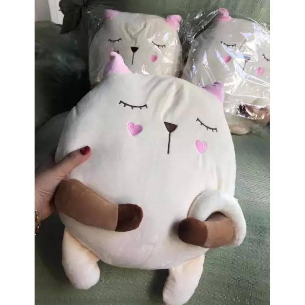 Gấu bông mèo tròn- ếch xanh quà tặng từ bobby