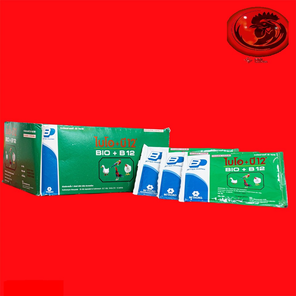 COMBO 2 GÓI BIO-B12  ÚM GÀ CON GÀ ĐÁ 20 GRAM