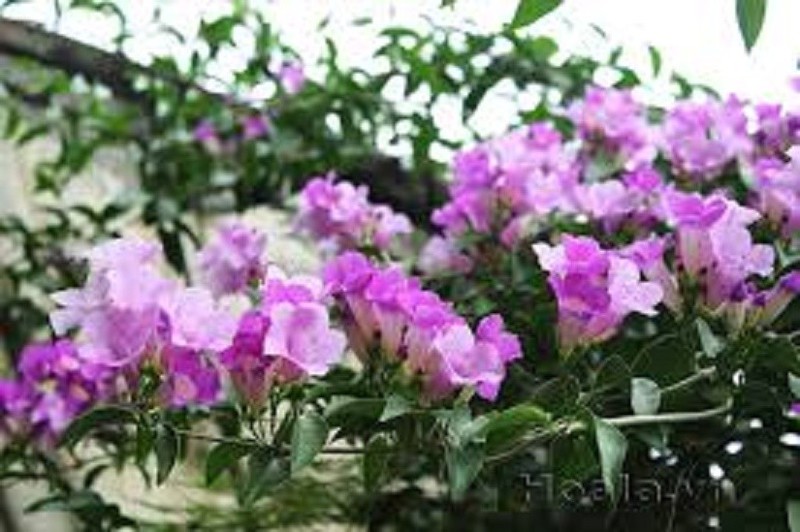 hw4ln88fkZKFQDt9S4dS_simg_d0daf0_800x1200_max.jpg