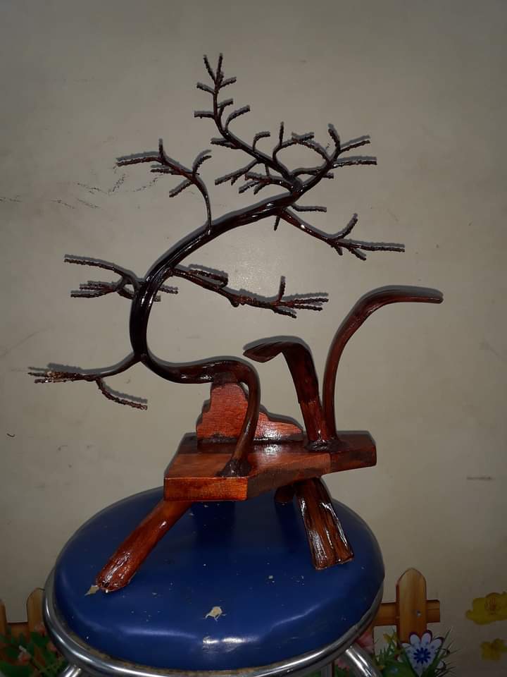 Kệ gỗ bon sai cây khô. cây thật. đồng giá 120k