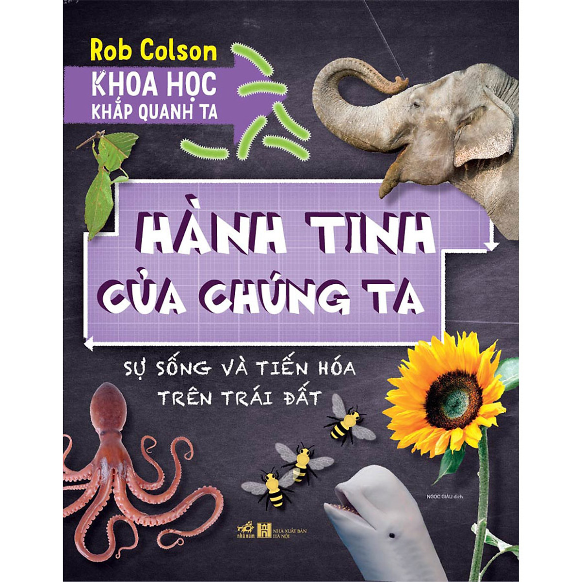 Khoa học quanh ta - hành tinh của chúng ta