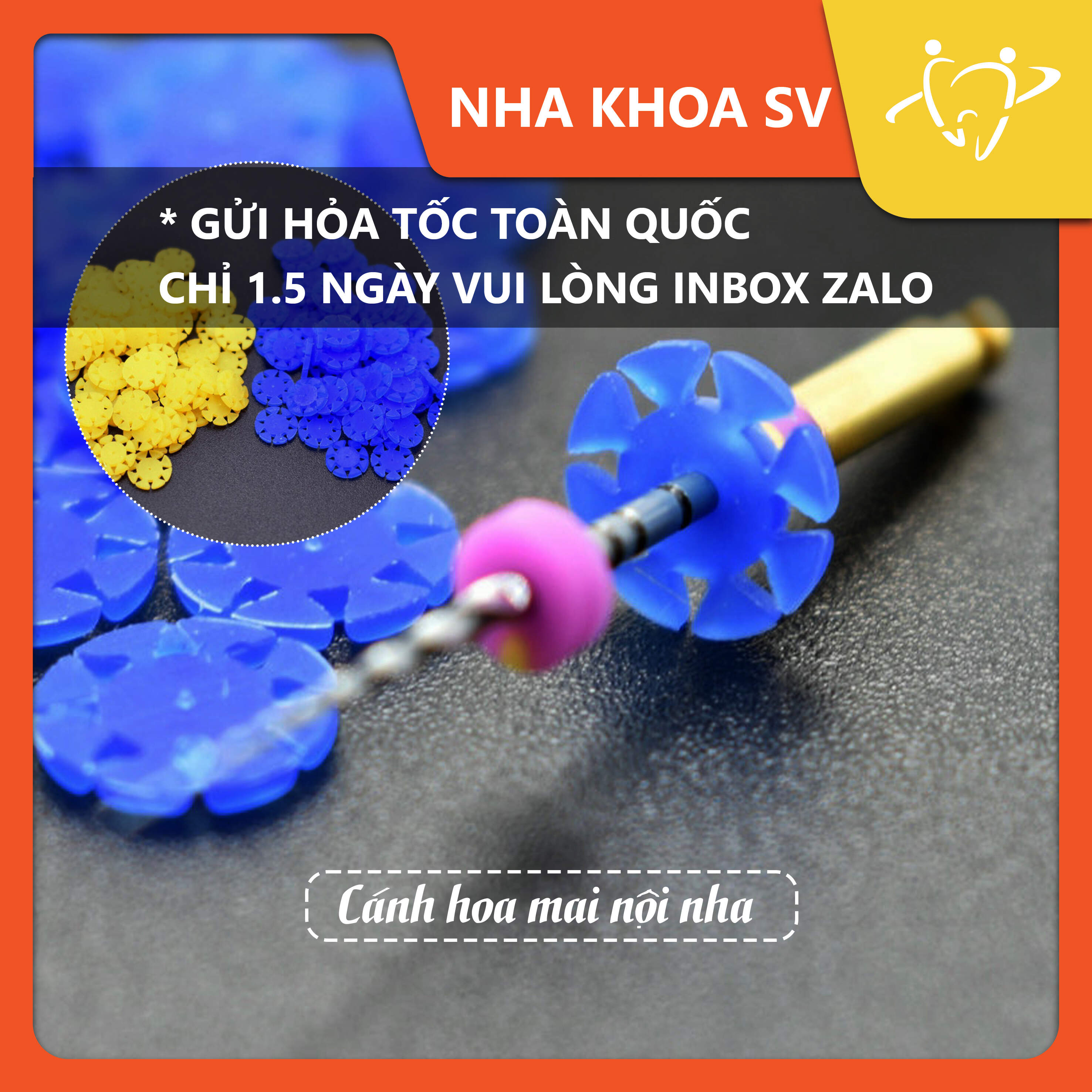 Cánh hoa mai nội nha | đếm số lần tiệt trùng của trâm