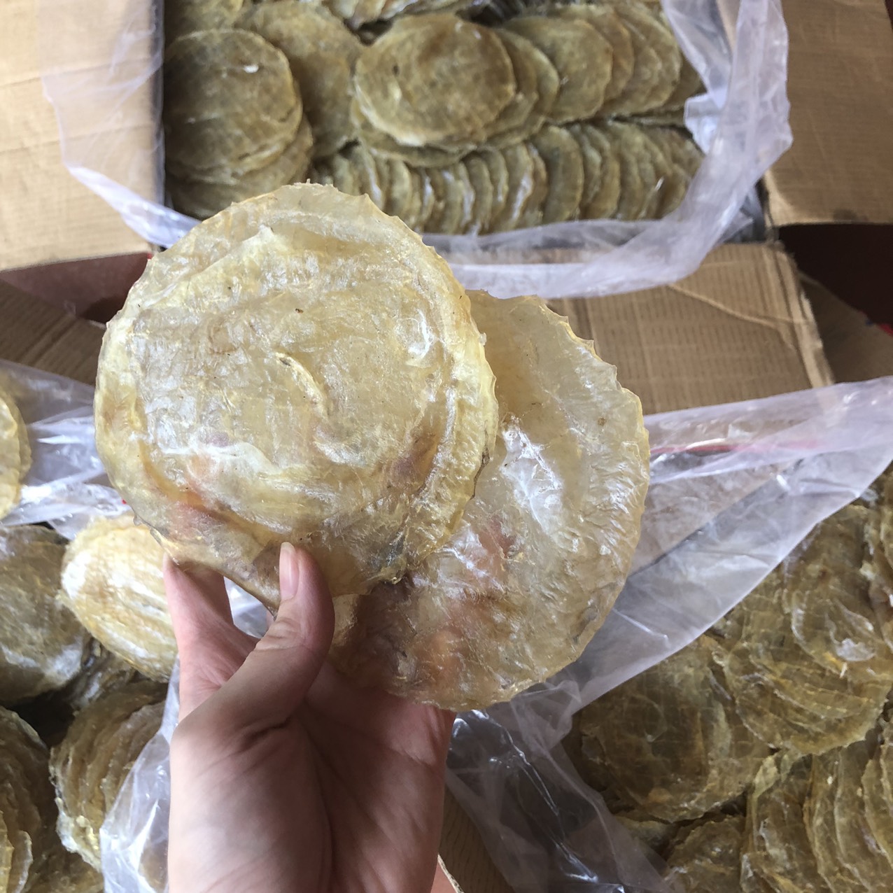 [MỚI VỀ ] - 500gKHÔ CÁ BÓNG/ CÁ BÒ ÉP - ĐẶC SẢN HẠ LONG 500G