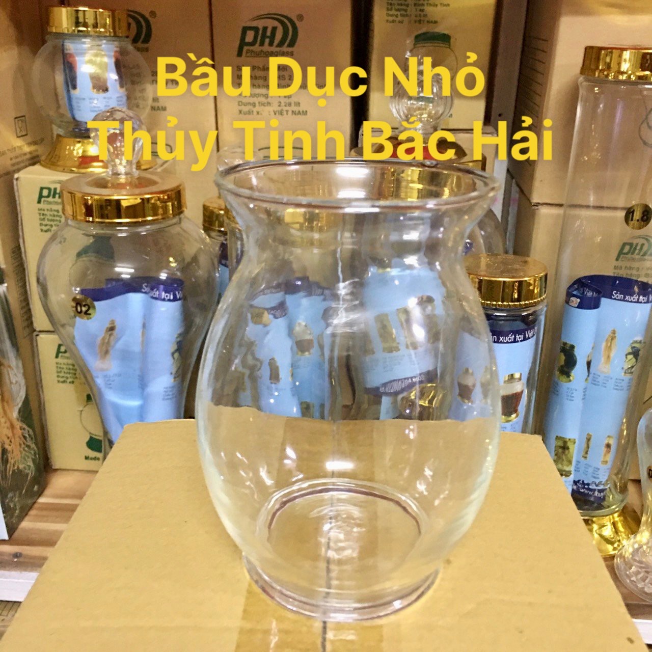 BỂ CÁ THỦY TINH,HỒ CÁ MINI,CHẬU CÂY THỦY SINH ĐỂ BÀN-THỦY TINH BẮC HẢI MẪU   BDN (D10cm*H13)