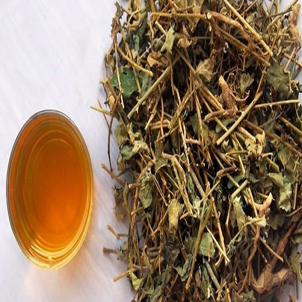 Cà gai leo khô giải độc gan túi 1kg