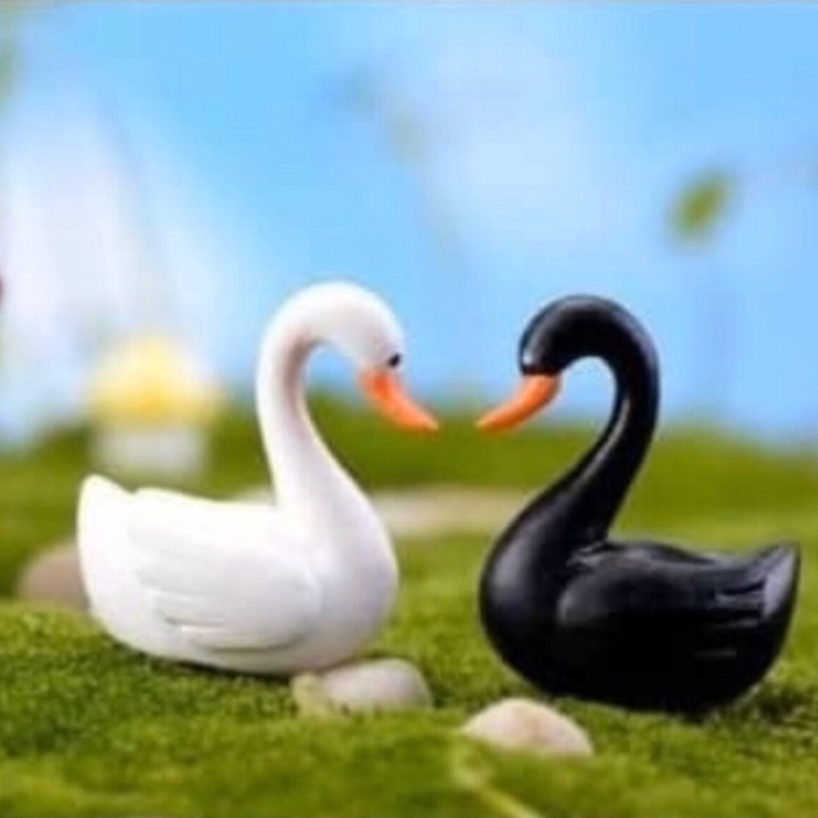 Cặp đôi thiên nga làm phụ kiện trang trí tiểu cảnh