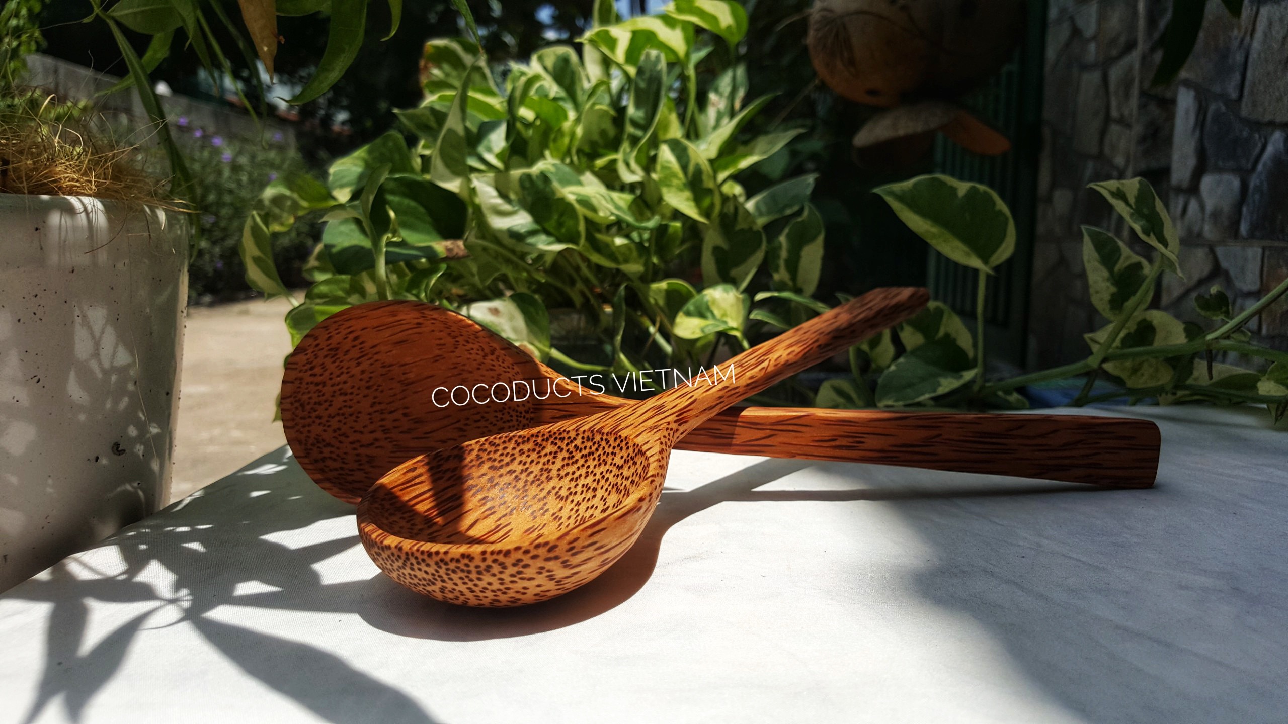 Vá muôi múc canh gỗ dừa