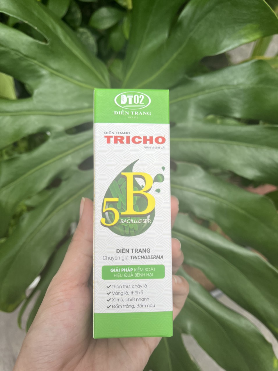 Nấm Trichoderma và vi sinh phòng ngừa nấm bệnh cây trồng TRICHO 5B Điền Trang ! Chai 50gram !