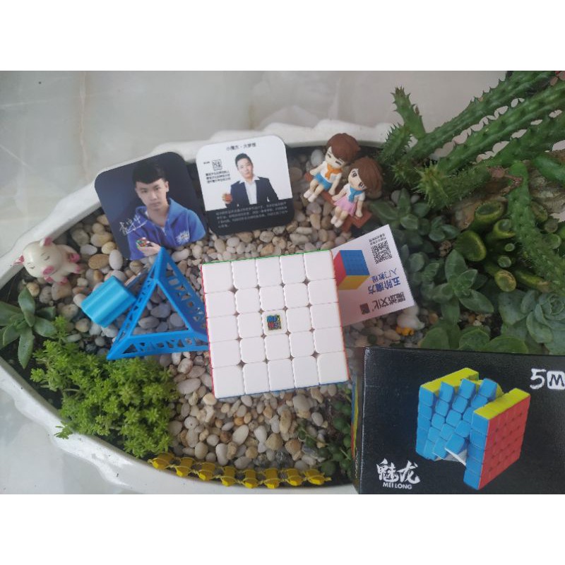Rubik moyu Meilong 5×5M