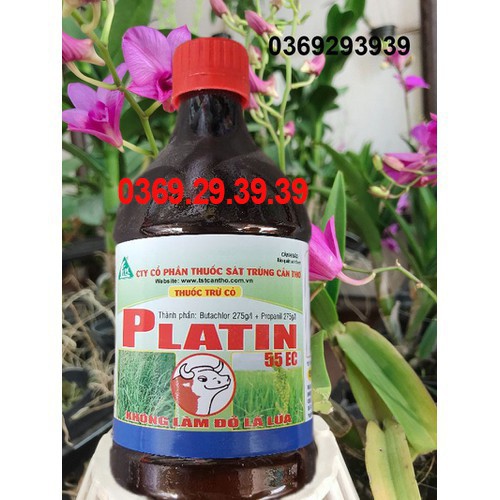 Cặp Đôi ROCKSAI PHYSAN - Giải Pháp Trừ Nấm Bệnh Hiệu Quả