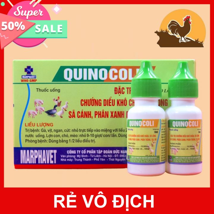 QUINO COLI PHÂN XANH PHÂN TRẮNG 1 HỘP 10 LỌ