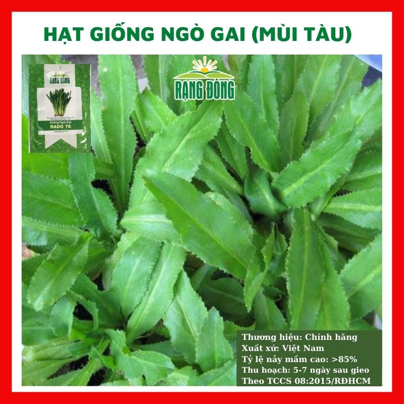 Hạt giống rau ngò gai (mùi tàu) - rau củ quả trồng chậu, sân vườn ban công ngon giòn ngọt nảy mầm cao 10g RADO776