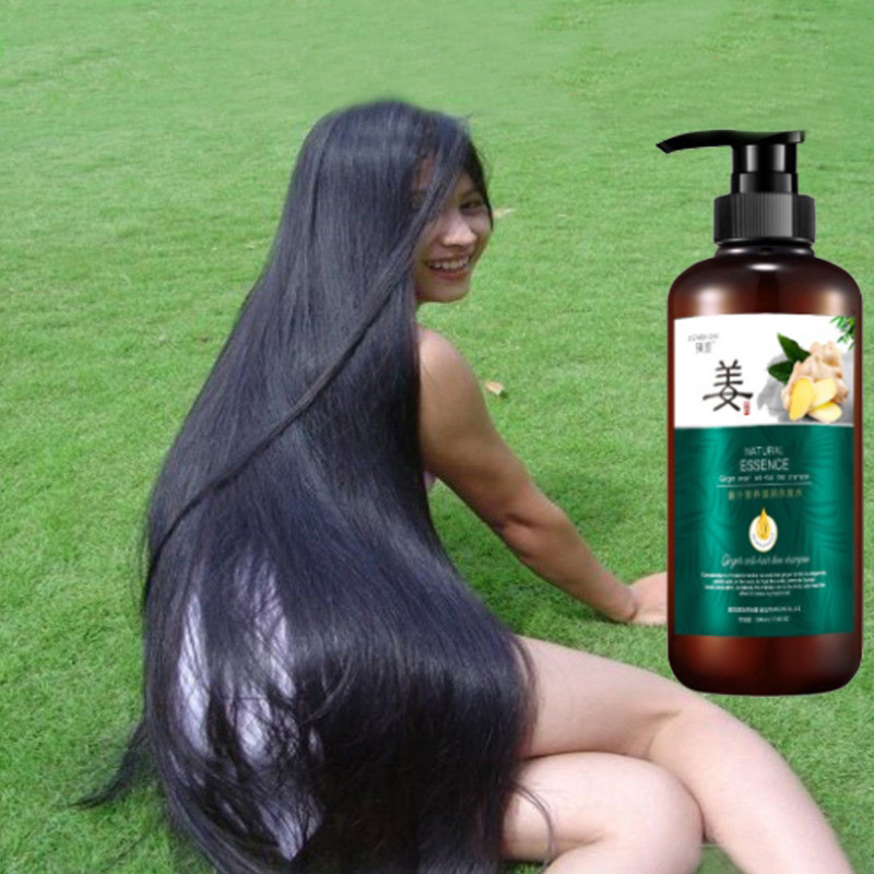 🔥mua 1 tặng 1🔥Dầu gội gừng, phục hồi hư tổn, cho mái tóc dày, mềm mại, suôn mượt Chất lỏng mọc tóc, chống rụng tóc, dầu gọi thảo dược, tươi mát không nhờn 500ml "